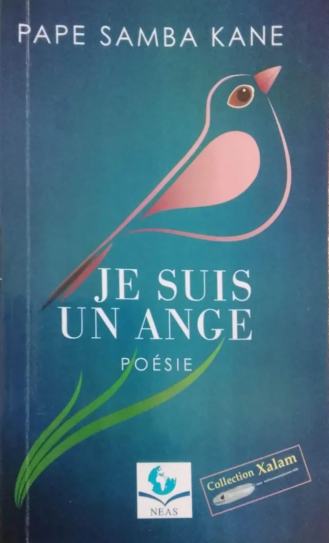 JE SUIS UN ANGE